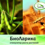 «БиоЛарикс» – стимулятор роста растений в Благовещенске