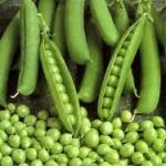 Greenfield Incorporation sells agricultural products  в Белоруссии (в Беларуси)