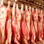 Greenfield Incorporation sells  bulk frozen meat . Мясо оптом в Белоруссии (в Беларуси).